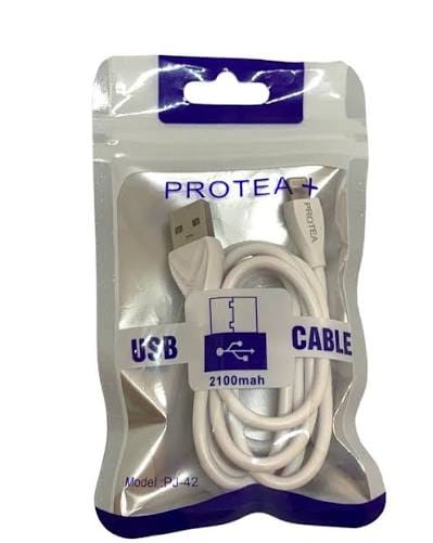 Protea USB to lightning/ USB to C-Type Charging Cable