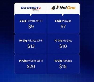 Netone and Buddie Data Bundles and Airtime